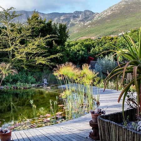 Villa Leopardstone Hill Noordhoek Exterior foto