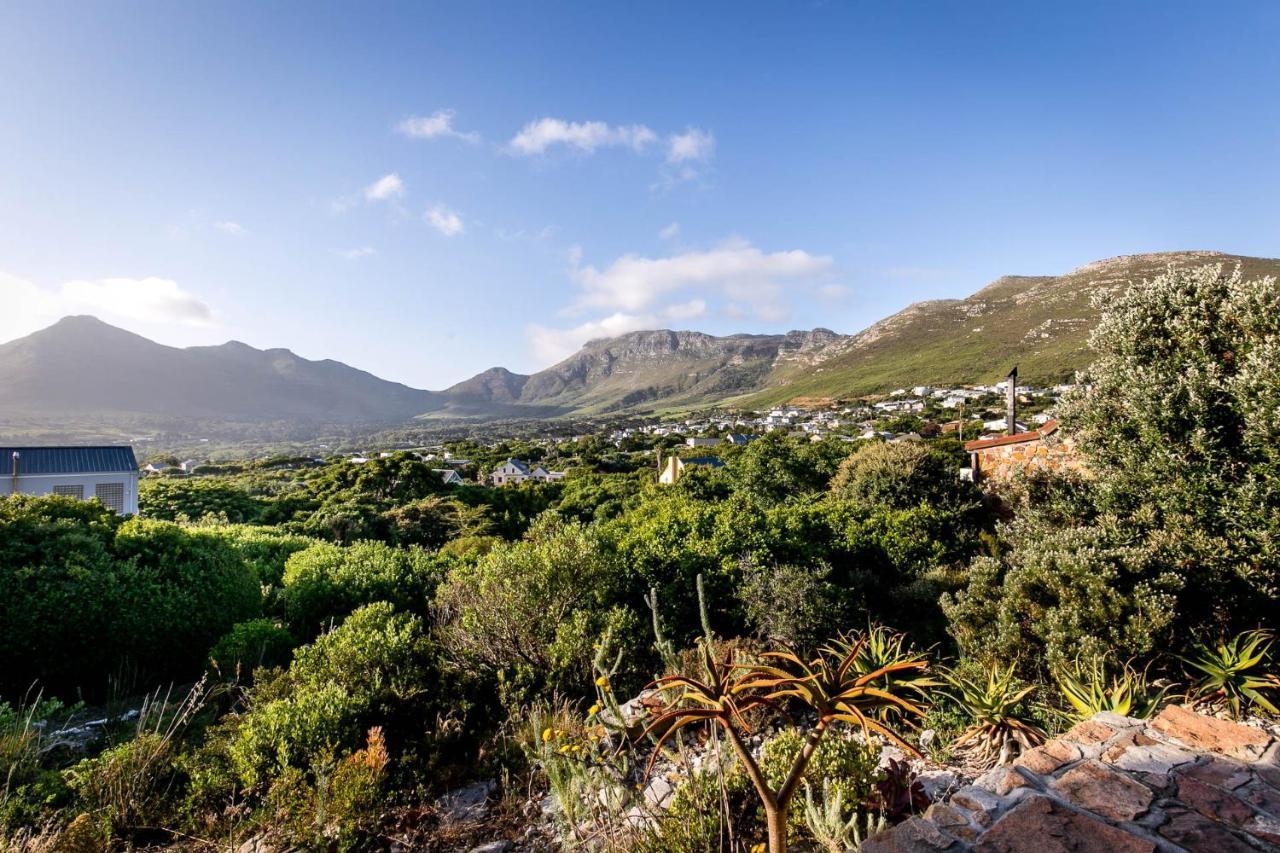 Villa Leopardstone Hill Noordhoek Exterior foto